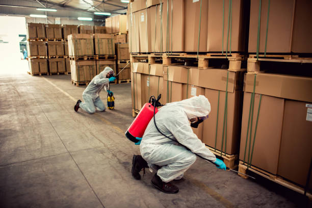Best Best Pest Control Companies  in Snead, AL
