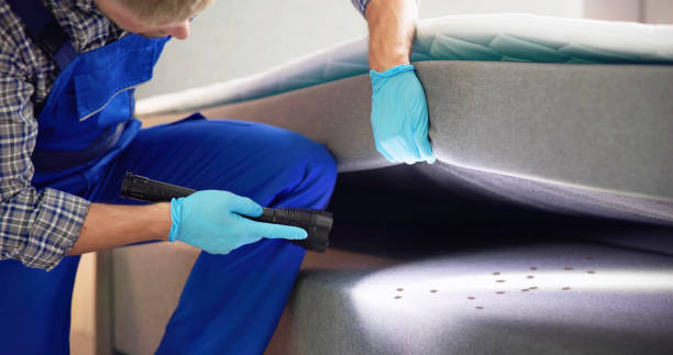 Best Cockroach Control Services  in Snead, AL